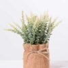 7.5*7.5*16CM POTTED WITH FLAX GRASS GS-3890041