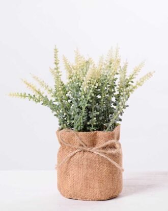 7.5*7.5*16CM POTTED WITH FLAX GRASS GS-3890041