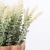 7.5*7.5*16CM POTTED WITH FLAX GRASS GS-3890041