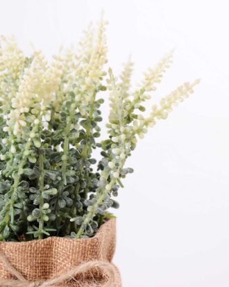 7.5*7.5*16CM POTTED WITH FLAX GRASS GS-3890041