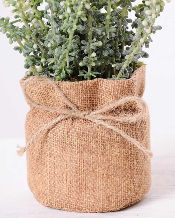 7.5*7.5*16CM POTTED WITH FLAX GRASS GS-3890041