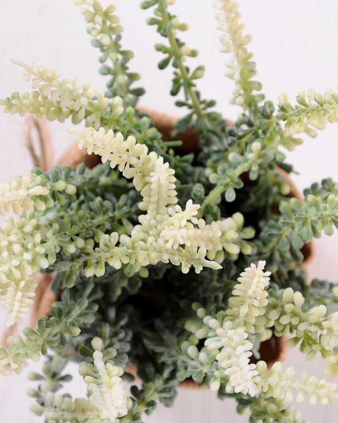 7.5*7.5*16CM POTTED WITH FLAX GRASS GS-3890041