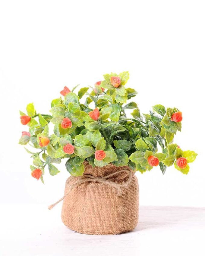 7.5*7.5*16CM POTTED WITH FLAX GRASS GS-3890042