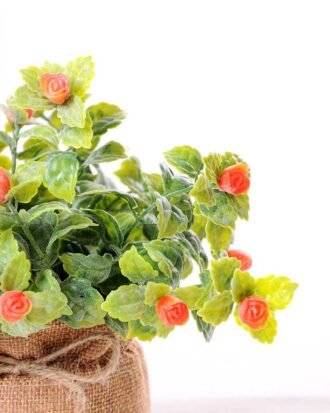 7.5*7.5*16CM POTTED WITH FLAX GRASS GS-3890042