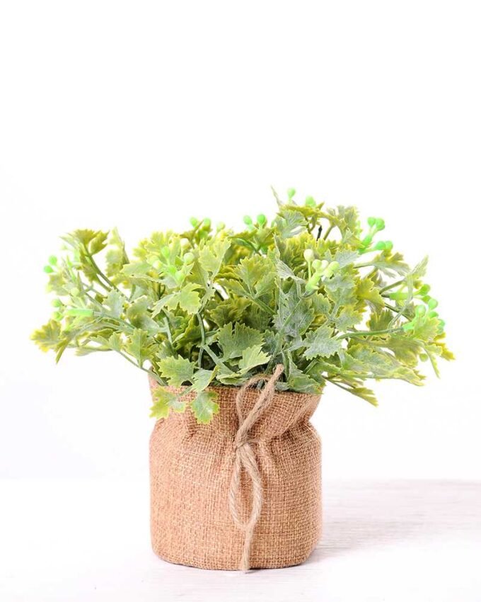 7.5*7 7.5*7.5*16CM POTTED WITH FLAX GRASS GS-3890043