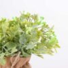 7.5*7 7.5*7.5*16CM POTTED WITH FLAX GRASS GS-3890043