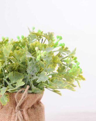 7.5*7.5*16CM POTTED WITH FLAX GRASS GS-3890043