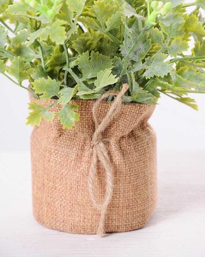 7.5*7 7.5*7.5*16CM POTTED WITH FLAX GRASS GS-3890043