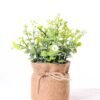 7.5*7.5*16CM POTTED WITH FLAX GRASS GS-3890044