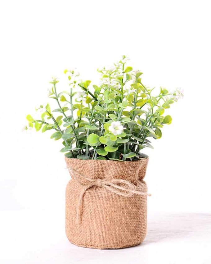 7.5*7.5*16CM POTTED WITH FLAX GRASS GS-3890044