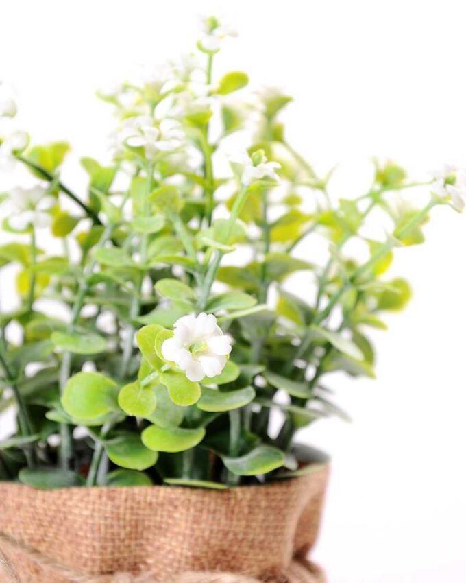 7.5*7.5*16CM POTTED WITH FLAX GRASS GS-3890044