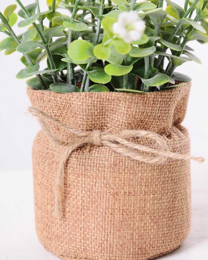 7.5*7.5*16CM POTTED WITH FLAX GRASS GS-3890044