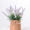 7.5*7.5*16CM POTTED WITH FLAX GRASS GS-3890045