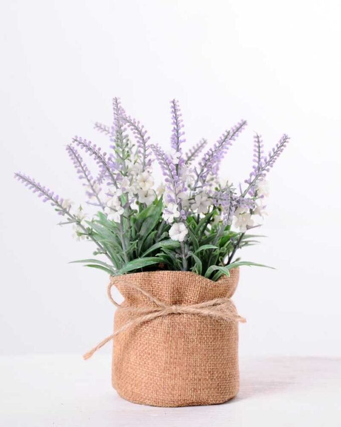 7.5*7.5*16CM POTTED WITH FLAX GRASS GS-3890045