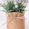 7.5*7.5*16CM POTTED WITH FLAX GRASS GS-3890045