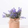 7.5*7.5*16CM POTTED WITH FLAX GRASS GS-3890046