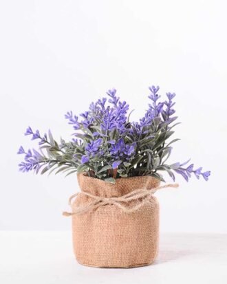 7.5*7.5*16CM POTTED WITH FLAX GRASS GS-3890046