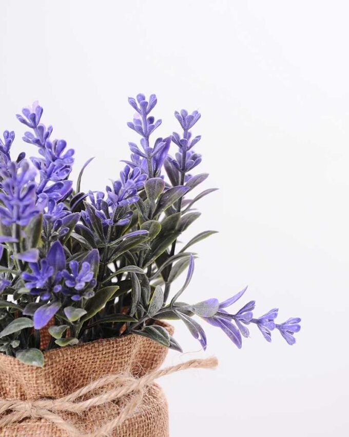 7.5*7.5*16CM POTTED WITH FLAX GRASS GS-3890046