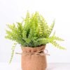7.5*7.5*16CM POTTED WITH FLAX GRASS GS-3890047