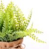 7.5*7.5*16CM POTTED WITH FLAX GRASS GS-3890047