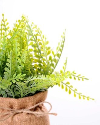 7.5*7.5*16CM POTTED WITH FLAX GRASS GS-3890047