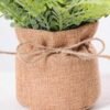 7.5*7.5*16CM POTTED WITH FLAX GRASS GS-3890047