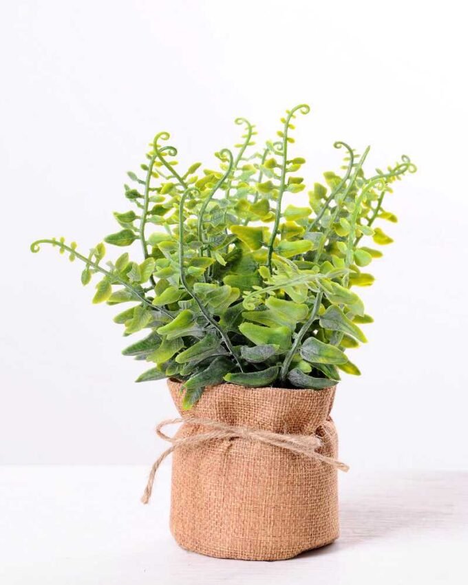 7.5*7.5*16CM POTTED WITH FLAX GRASS GS-3890049
