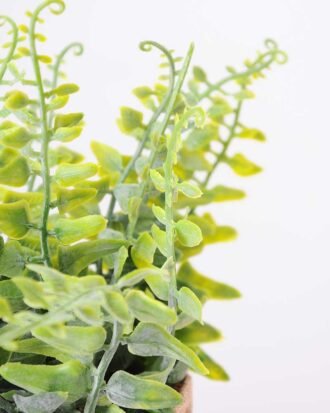 7.5*7.5*16CM POTTED WITH FLAX GRASS GS-3890049