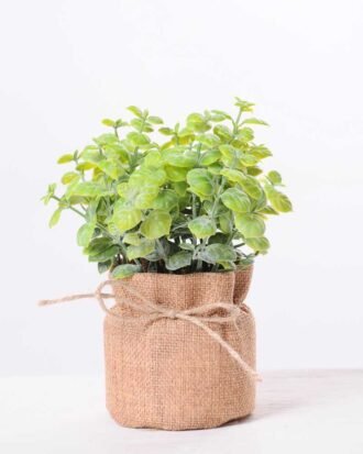 7.5*7.5*16CM POTTED WITH FLAX GRASS GS-3890050