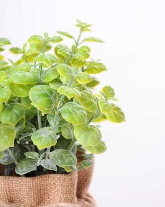 7.5*7.5*16CM POTTED WITH FLAX GRASS GS-3890050