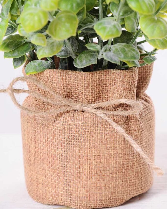 7.5*7.5*16CM POTTED WITH FLAX GRASS GS-3890050