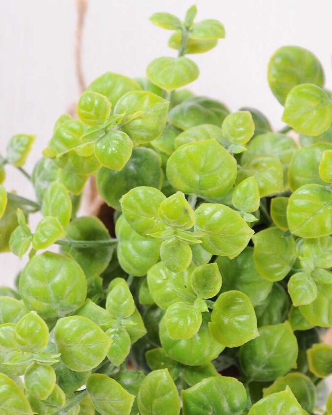 7.5*7.5*16CM POTTED WITH FLAX GRASS GS-3890050