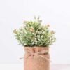 7.5*7.5*16CM POTTED WITH FLAX GRASS GS-3890051