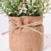 7.5*7.5*16CM POTTED WITH FLAX GRASS GS-3890051
