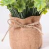 7.5*7.5*16CM POTTED WITH FLAX GRASS GS-3890052