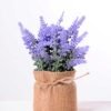 7.5*7.5*16CM POTTED WITH FLAX GRASS GS-3890053
