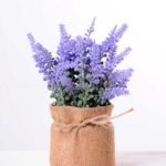 7.5*7.5*16CM POTTED WITH FLAX GRASS GS-3890053