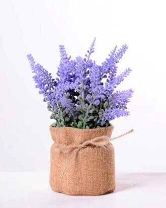 7.5*7.5*16CM POTTED WITH FLAX GRASS GS-3890053