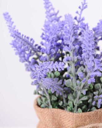 7.5*7.5*16CM POTTED WITH FLAX GRASS GS-3890053