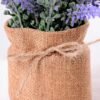 7.5*7.5*16CM POTTED WITH FLAX GRASS GS-3890053
