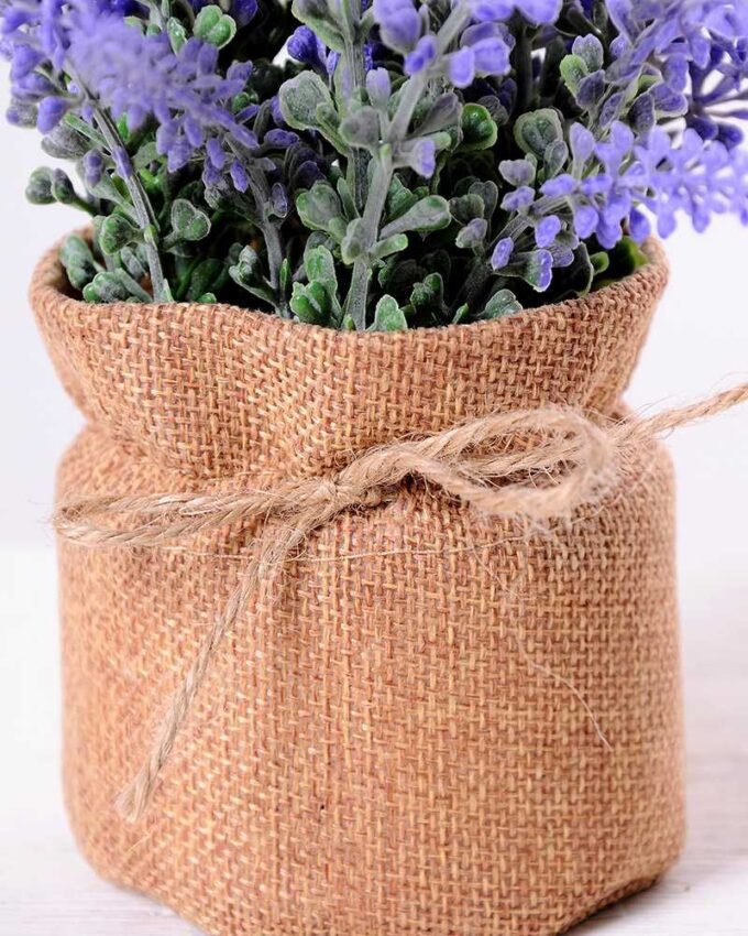 7.5*7.5*16CM POTTED WITH FLAX GRASS GS-3890053