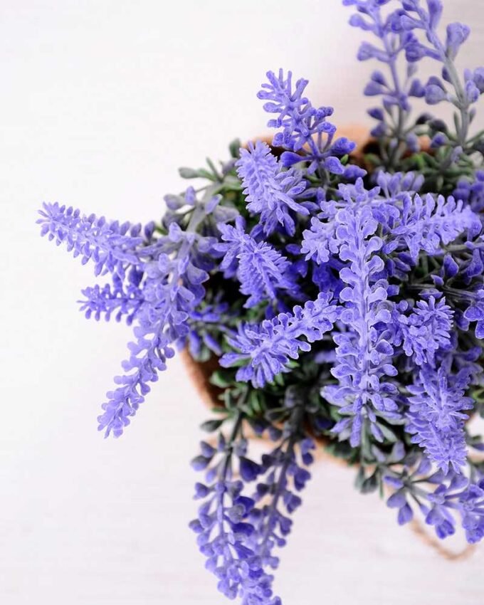 7.5*7.5*16CM POTTED WITH FLAX GRASS GS-3890053