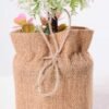 7.5*7.5*21CM POTTED WITH FLAX GRASS BALL GS-3890055