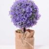 7.5*7.5*21CM POTTED WITH FLAX GRASS BALL GS-3890057