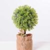 7.5*7.5*21CM POTTED WITH FLAX GRASS BALL GS-3890059