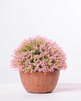 14*14*14CM POTTED GRASS GS-3890060
