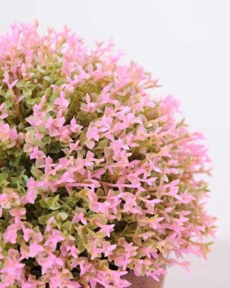 14*14*14CM POTTED GRASS GS-3890060