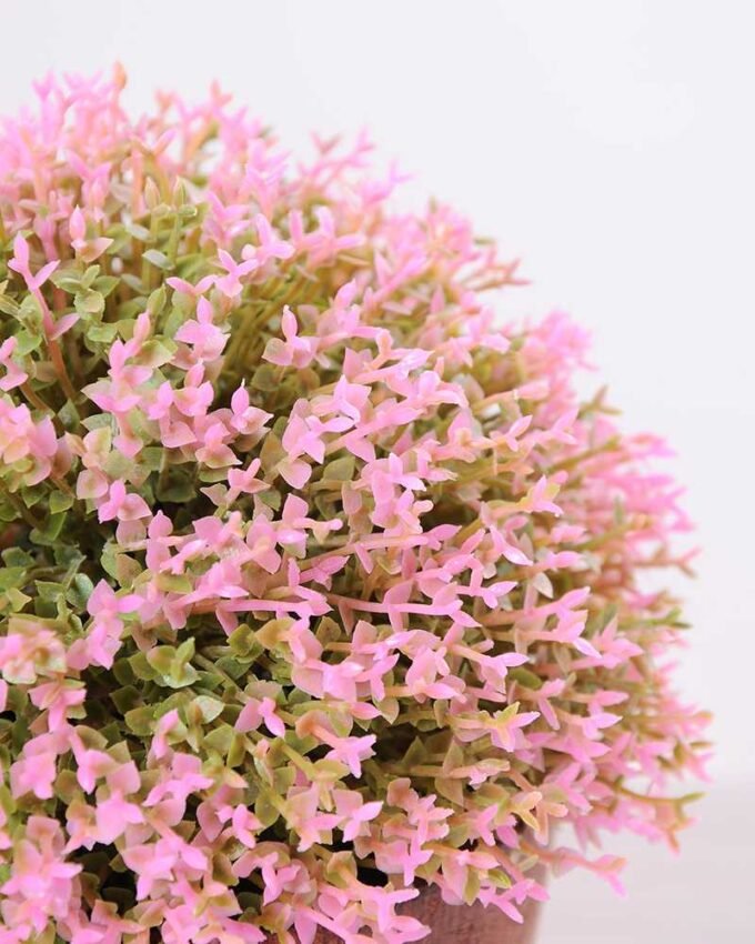 14*14*14CM POTTED GRASS GS-3890060