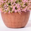 14*14*14CM POTTED GRASS GS-3890060