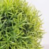 14*14*14CM POTTED GRASS GS-3890061